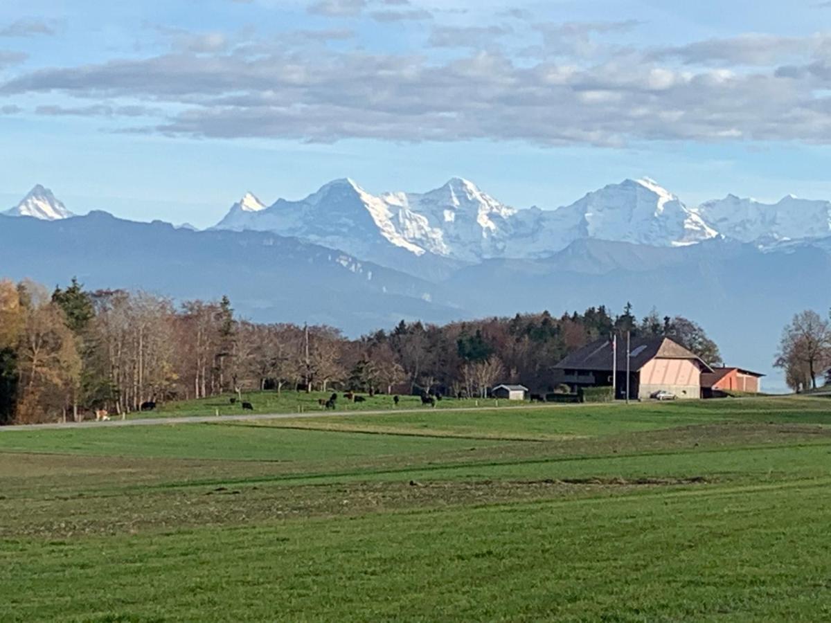 Mountain Home - Ein Aufenthalt Mit Weitblick Niedermuhlern Luaran gambar